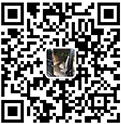 合肥租车_合肥汽车租赁_合肥婚庆租车就选喜相随汽车公司