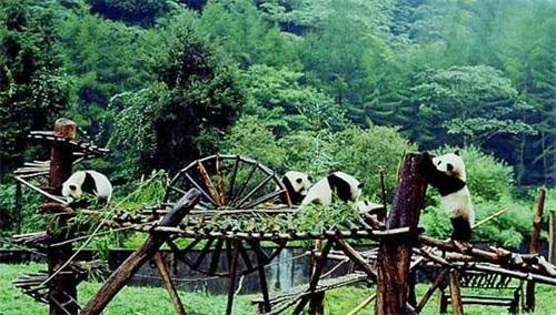 成都租车丨四川周边自驾游必去景点推荐